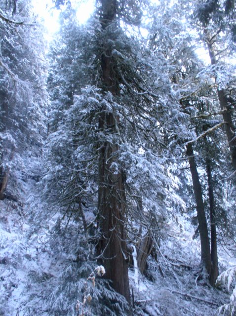 11.27.05 Nesmith Point 064 